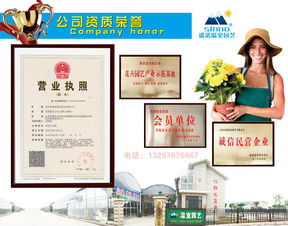 2017花海設(shè)計(jì)、造價(jià)與十年種植施工經(jīng)驗(yàn)下的數(shù)字內(nèi)容制作服務(wù)